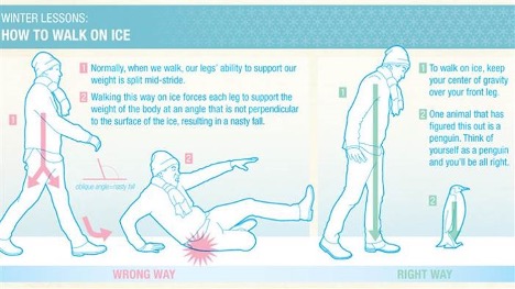 drawing of safe walking featuring a person and a penguin 

Instructions to keep your center of gravity over your front leg and walk like a penguin