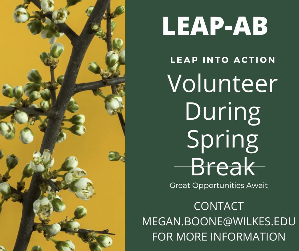 LEAP-AB leap into action volunteer during spring break with a photo of spring flower buds on branches