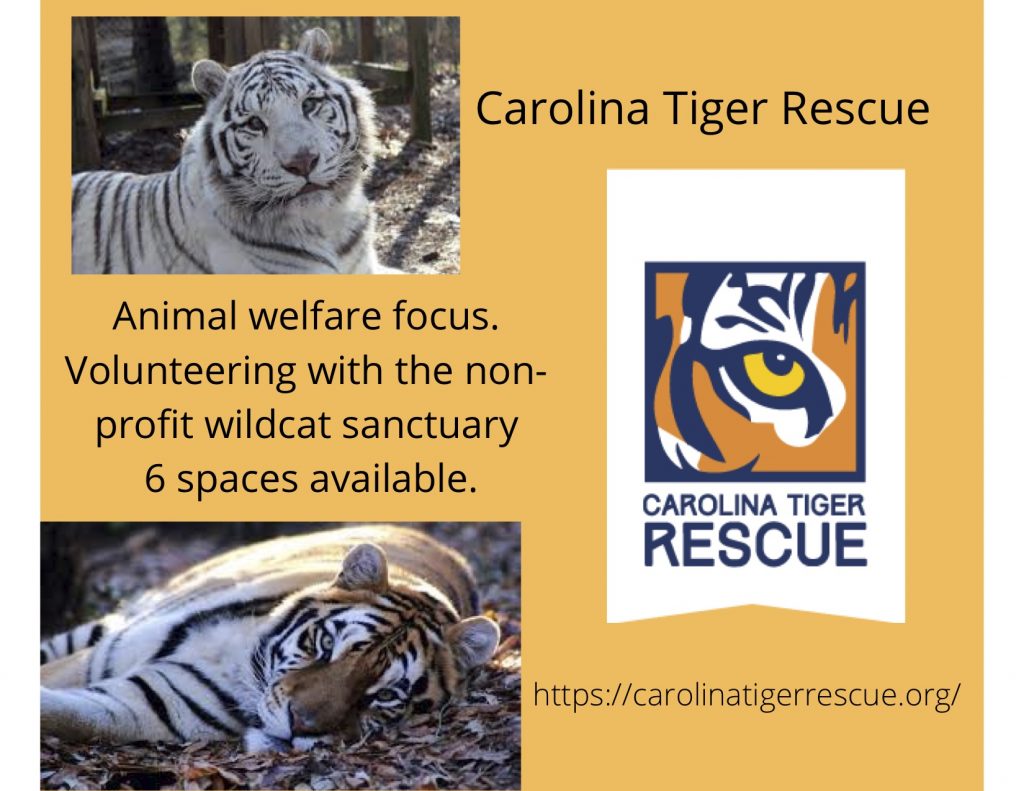 carolina tiger rescue logo and photo of tigers